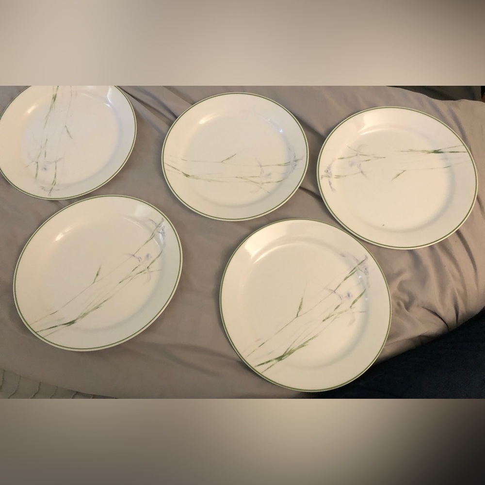Corelle Corning SHADOW IRIS Dinner Plates Set 5